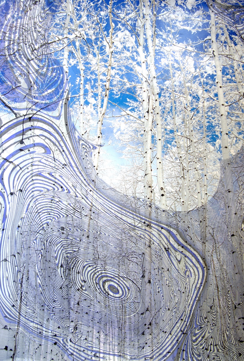 Chloe Forest - Forest, 2025